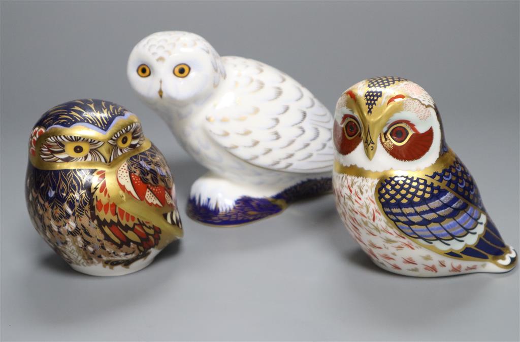 Three Royal Crown Derby owl paperweights, longest 15cm
